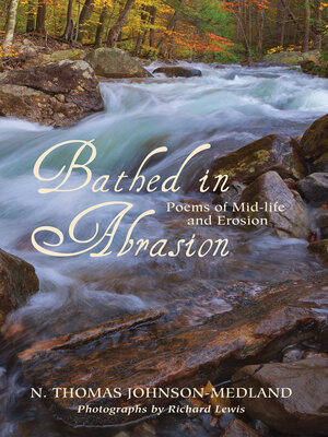 cover image of Bathed in Abrasion